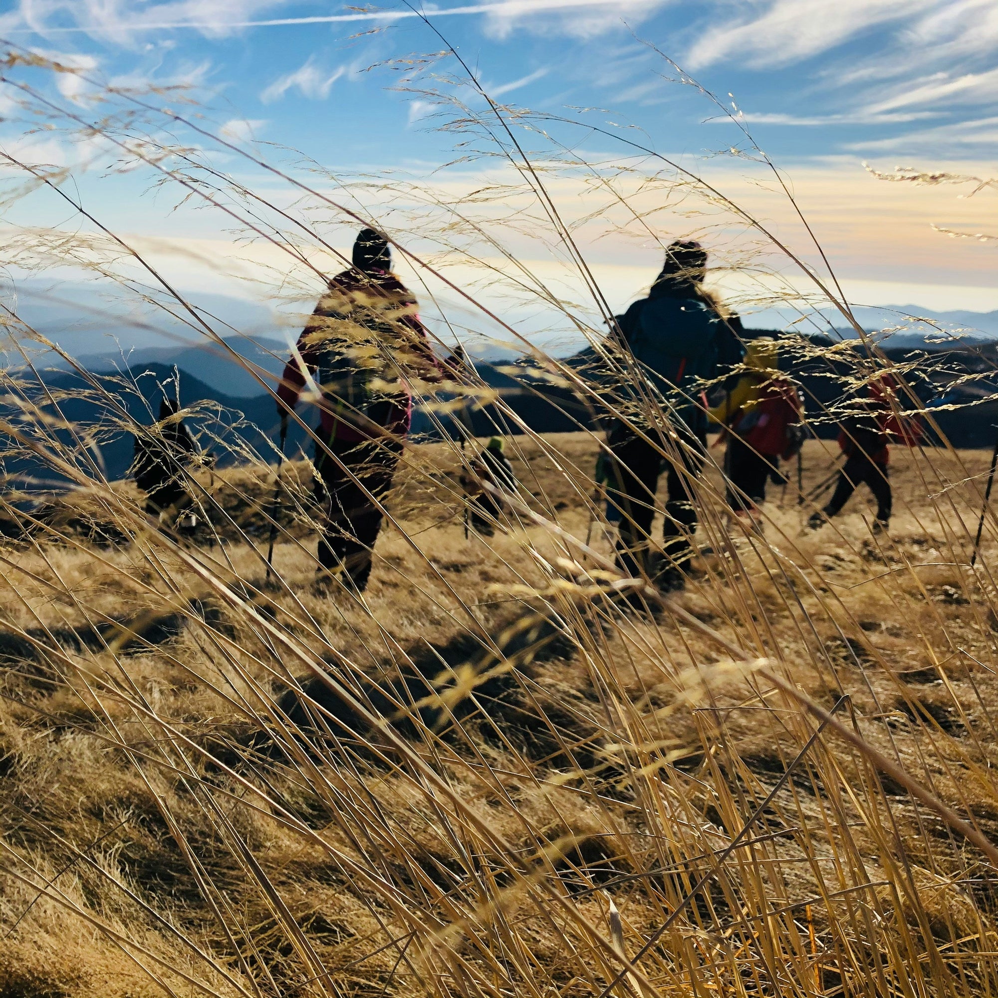 Hunting Gear & Apparel