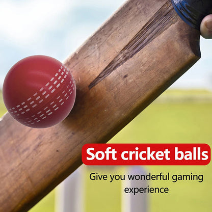 Soft PU Cricket Ball – Red &amp; White