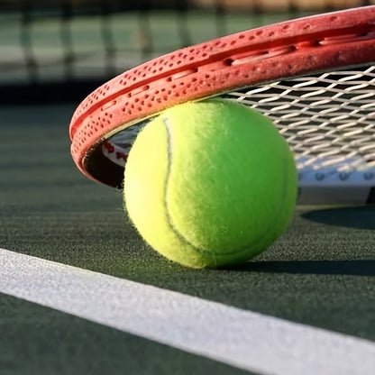Professional Cricket &amp; Tennis Balls – 3 Pack