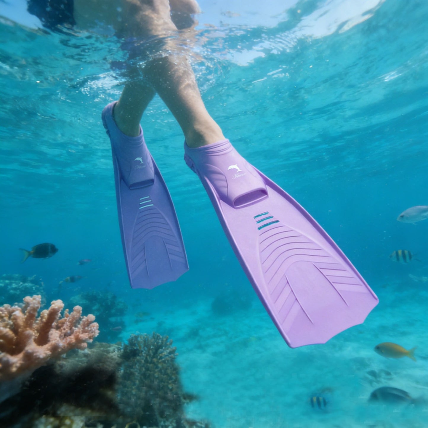 Mid-Length Full-Foot Swimming & Snorkeling Fins – Rubber & PP – Mixed Color