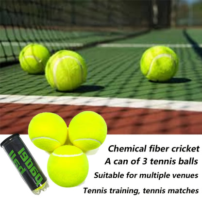 Professional Cricket &amp; Tennis Balls – 3 Pack