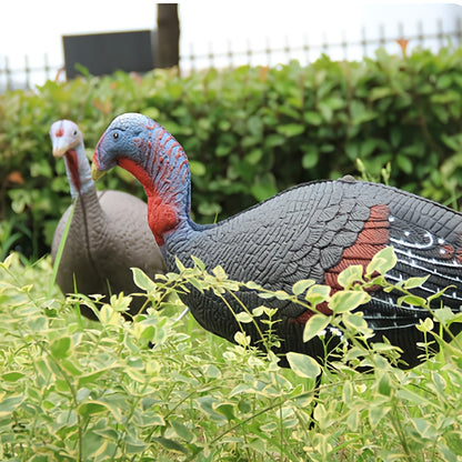 2PCS Realistic Turkey Decoys – Outdoor Hunting Decoy Set for Garden & Field Use